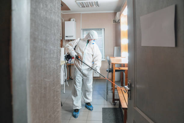 Best Mold Remediation for Vacation Homes  in Fredericksburg, IA