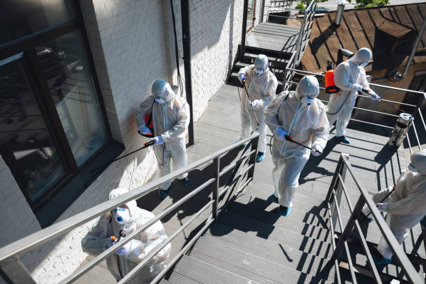 Best Mold Odor Removal Services  in Fredericksburg, IA