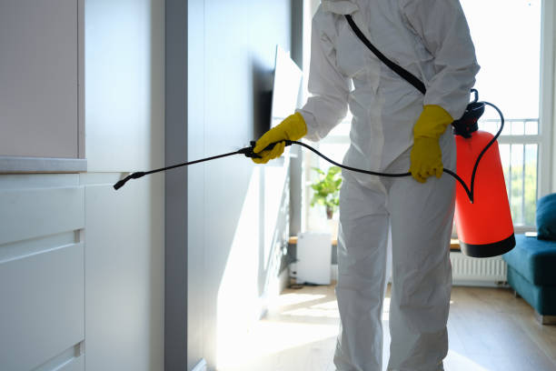 Best Mold Damage Restoration  in Fredericksburg, IA