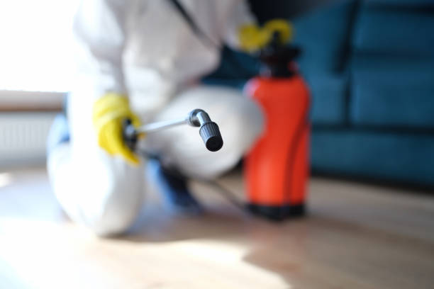 Best Mold Removal for HVAC Installations  in Fredericksburg, IA
