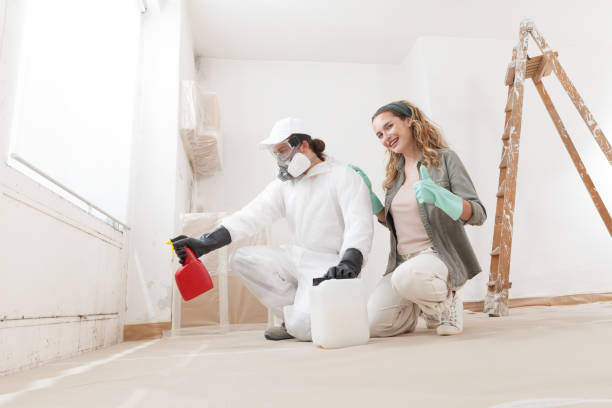  Fredericksburg, IA Mold Removal Pros